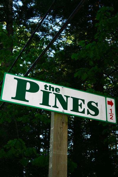 The Pines